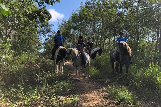 Horseback Riding 1 hour trail - One hour on the trail: who gets the most from it