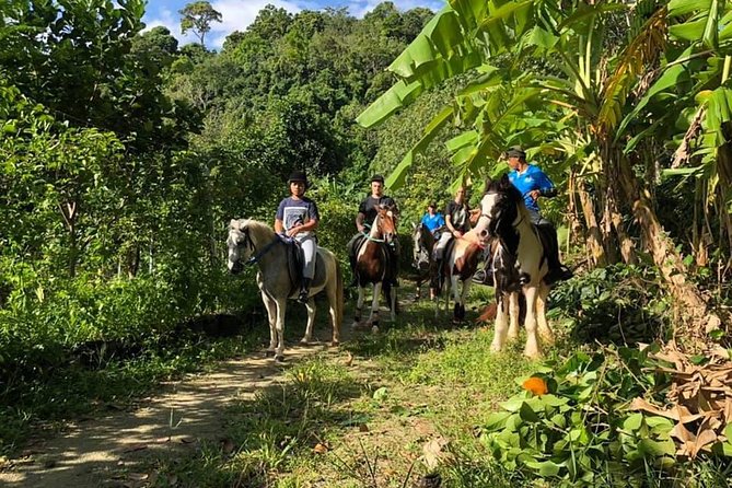 Horseback Riding 1 hour trail - Is $68 a fair price?