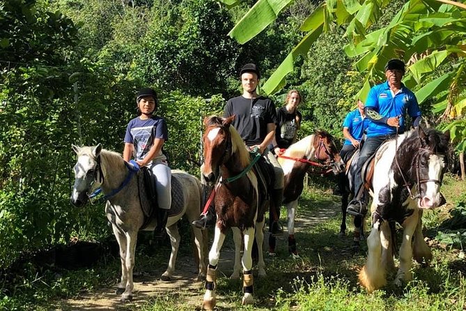 Horseback Riding 1 hour trail - Through rubber trees and local orchards