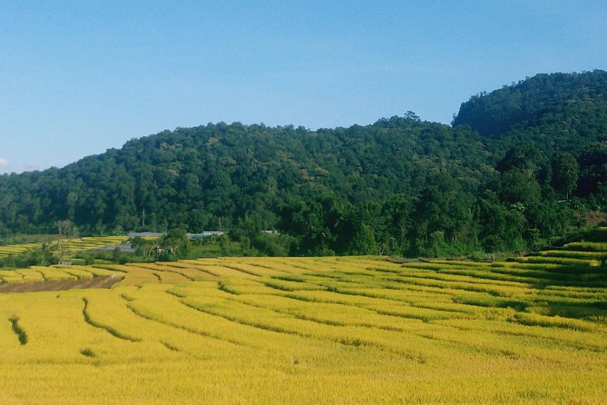 Inthanon Day Trip from Chiang Mai with Lunch - Group or Private - Why Doi Inthanon is worth a day from Chiang Mai
