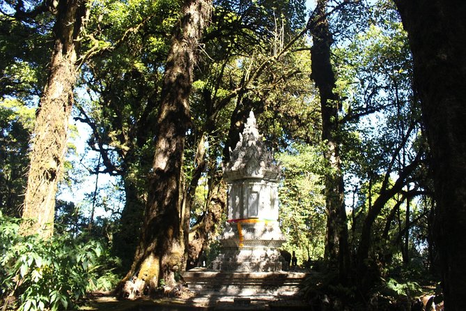 Inthanon Day Trip from Chiang Mai with Lunch - Group or Private - Lunch in the park