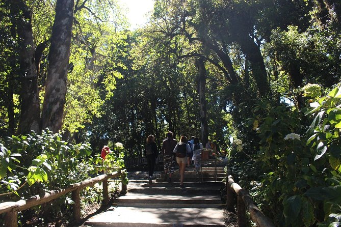 Inthanon Day Trip from Chiang Mai with Lunch - Group or Private - Wachirathan Falls and the final change of scenery