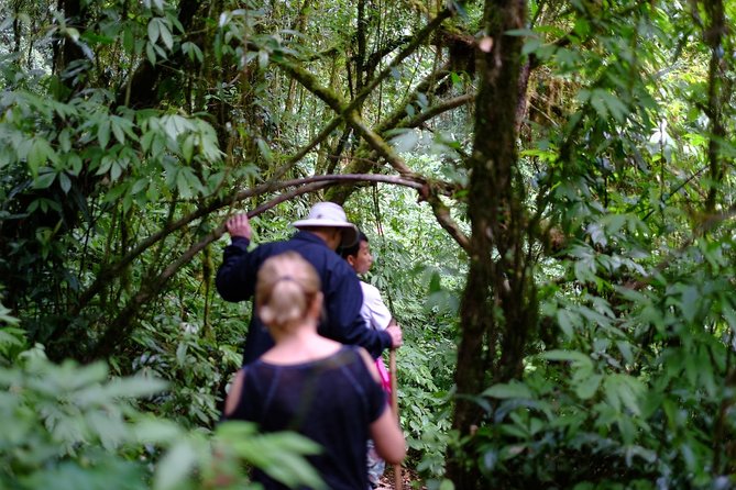 Inthanon Small-Group with Kew Mae Pan Trail from Chiang Mai include Lunch - Is $113.39 a Fair Price?