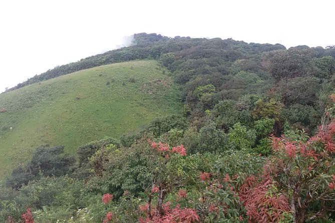 Inthanon Small-Group with Kew Mae Pan Trail from Chiang Mai include Lunch - Coffee and Rice Terraces at Mae Klang Luang