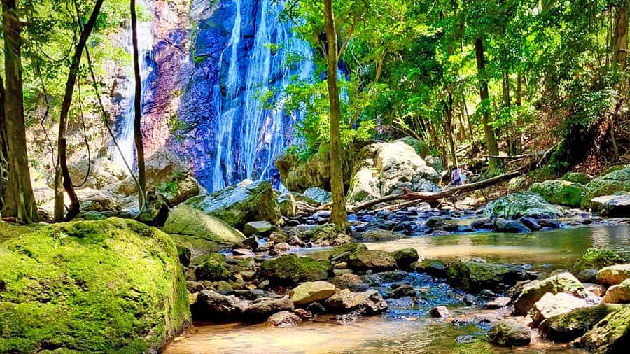 ISLAND TOUR ECO AROUND KOH SAMUI HALF DAY RARE SIGHTSEEING - Na Muang Waterfall 1 and the elephant welfare issue