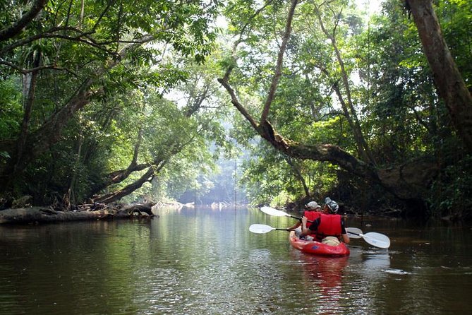 John Gray's Sea Canoe Hong by Starlight Tour - Hong Island and the enclosed lagoons