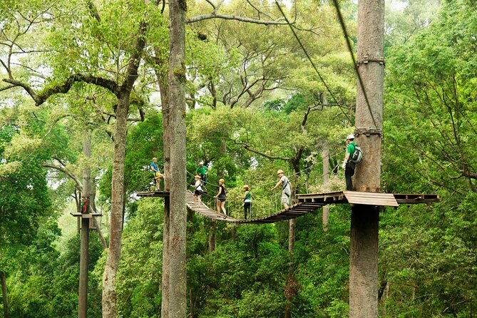 Jungle Flight Zipline Roller Coaster - Two hours above the trees
