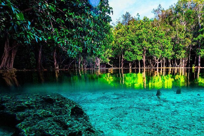 Jungle Tour to Emerald Pool, Krabi Hot Spring and Tiger Cave Temple - A long morning ride into Krabi’s forest