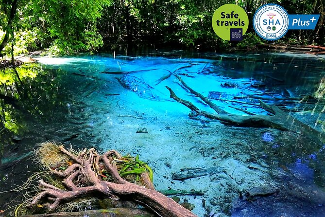 Jungle Tour to Emerald Pool, Krabi Hot Spring and Tiger Cave Temple - Namtok Ron: warm water in a shady forest