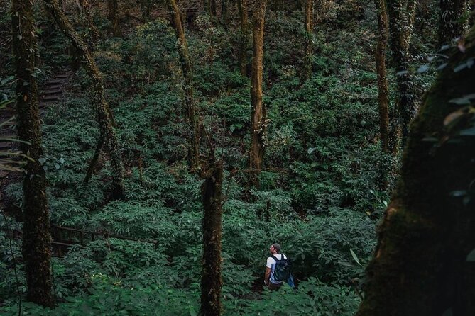 Jungle Wisdom Survival Trek - Bamboo rafting on the Mae Wang River