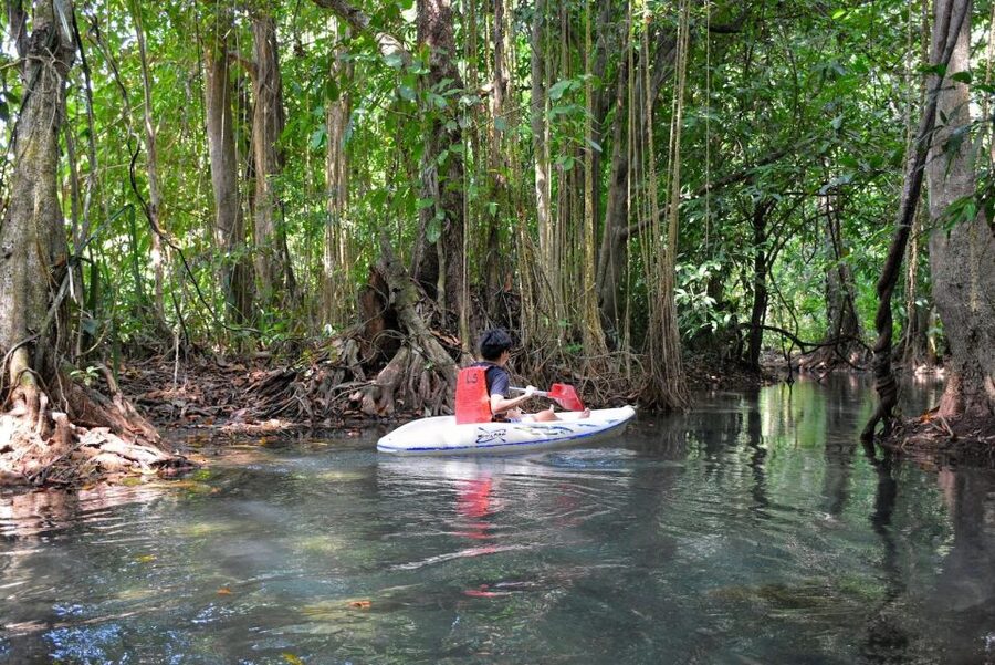 Kayaking and swiming klongrood - The 30-minute ride from Ao Nang to Khlong Nam Sai