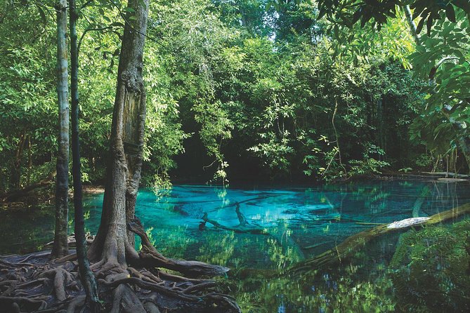 Kayaking in Ao Thalane - Discover the Mangrove life - The private minivan ride from Ao Nang
