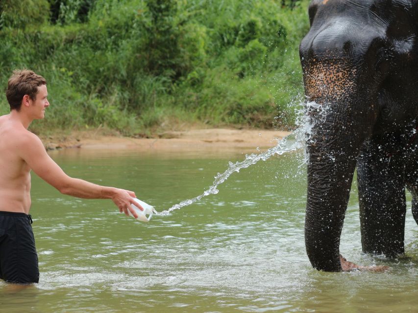 Khao Lak: Elephant Bathing and Turtle Center Visit - Who will enjoy this most?