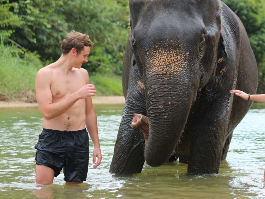 Khao Lak: Elephant Bathing and Turtle Center Visit - What the three-and-a-half-hour outing feels like