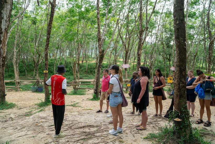 Khao Lak Guided Nature Walk & Elephant Experience - Why the animal welfare policy matters