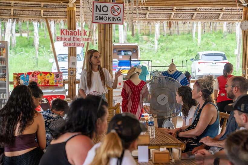 Khao Lak Guided Nature Walk & Elephant Experience - What the guides add to the visit