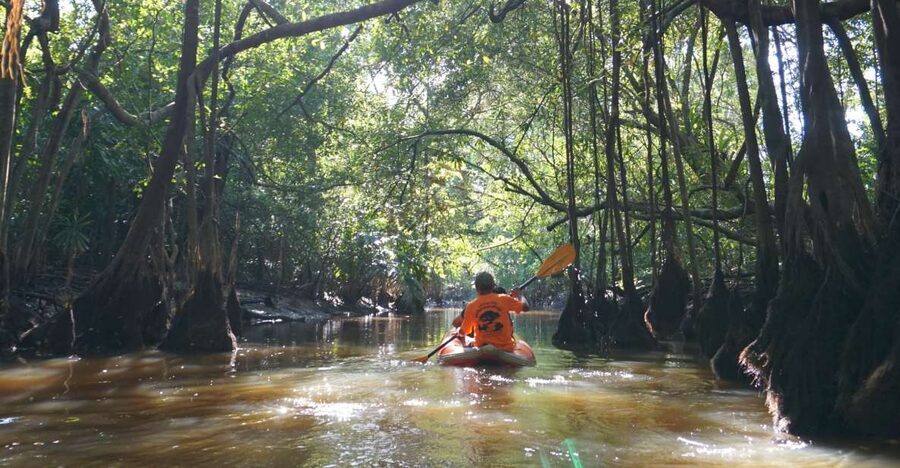 Khao Lak: Little Amazon Canoe Ride & Tam Nang Waterfall Tour - Walking to Tam Nang Waterfall