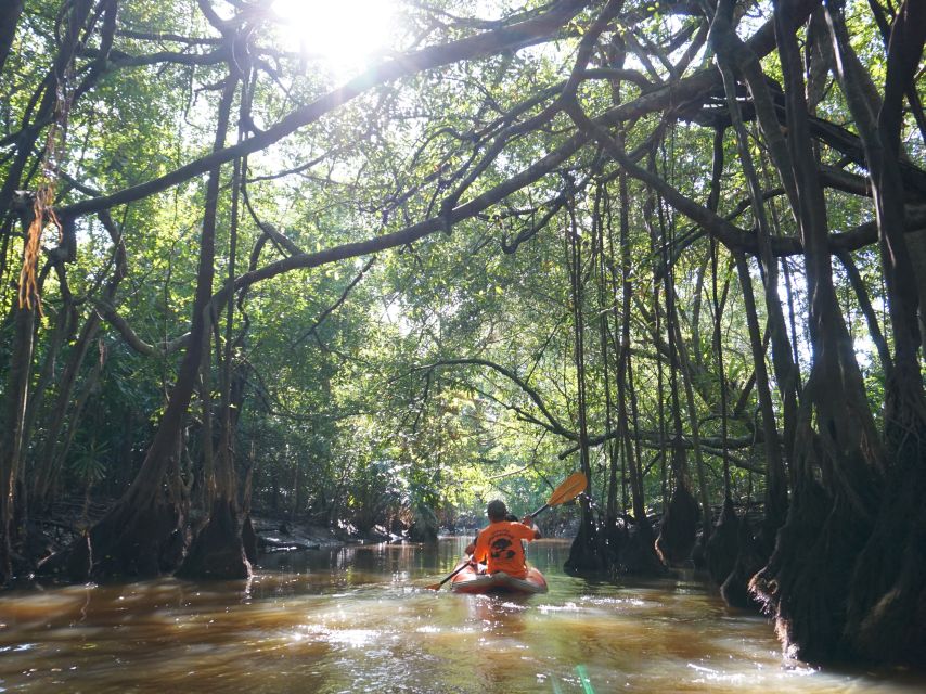 Khao Lak: Little Amazon Canoe Ride & Tam Nang Waterfall Tour - Rain, tides, and the alternate waterfall