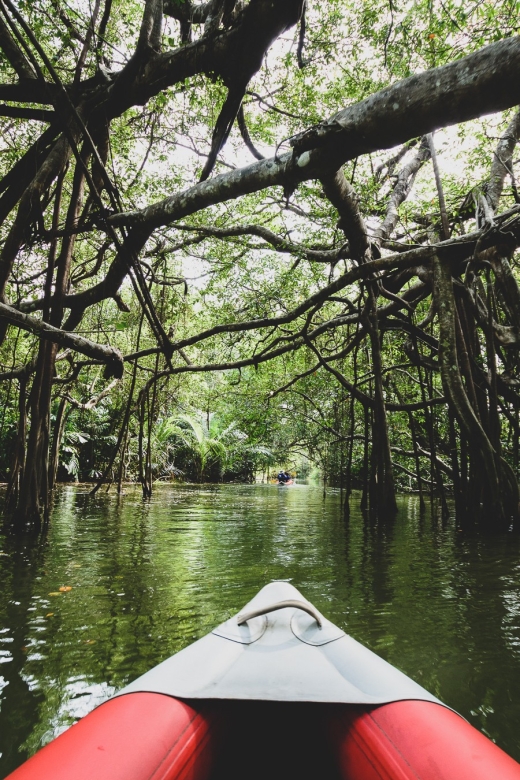Khao Lak: Little Amazon Canoe Ride & Tam Nang Waterfall Tour - Who should book this Khao Lak tour?