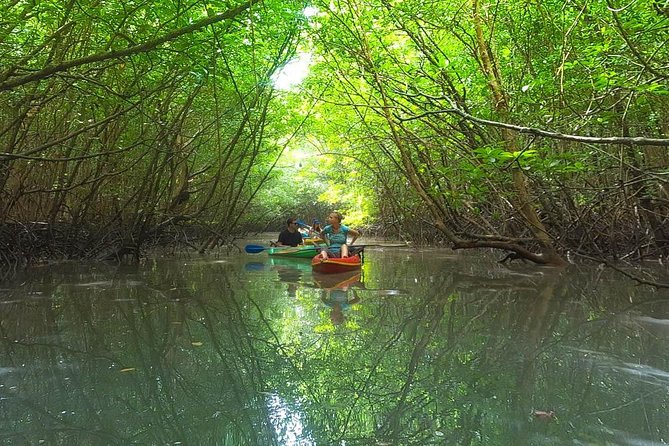 Khao Lak Mangrove Explorers - Key points to know before booking