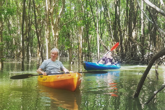 Khao Lak Mangrove Explorers - Wildlife sightings are special because they are not guaranteed