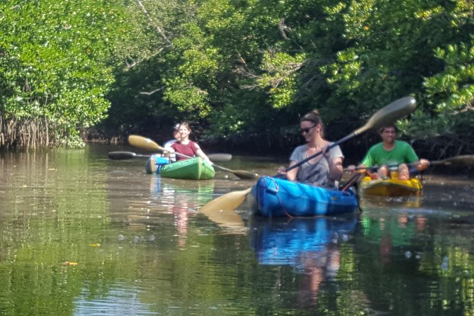 Khao Lak Mangrove Explorers - Is $87.99 a fair price?
