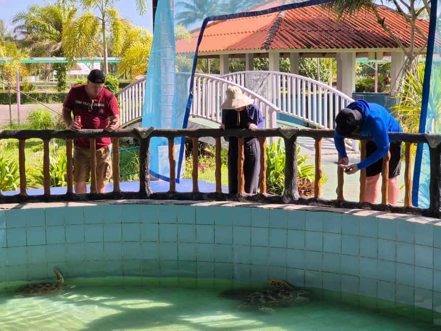 Khao Lak: Waterfall,Sea Turtle,Elephant Care,Meal & Transfer - Why this four-hour Khao Lak outing works