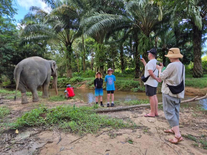 Khao Lak: Waterfall,Sea Turtle,Elephant Care,Meal & Transfer - Meeting rescued elephants at the sanctuary