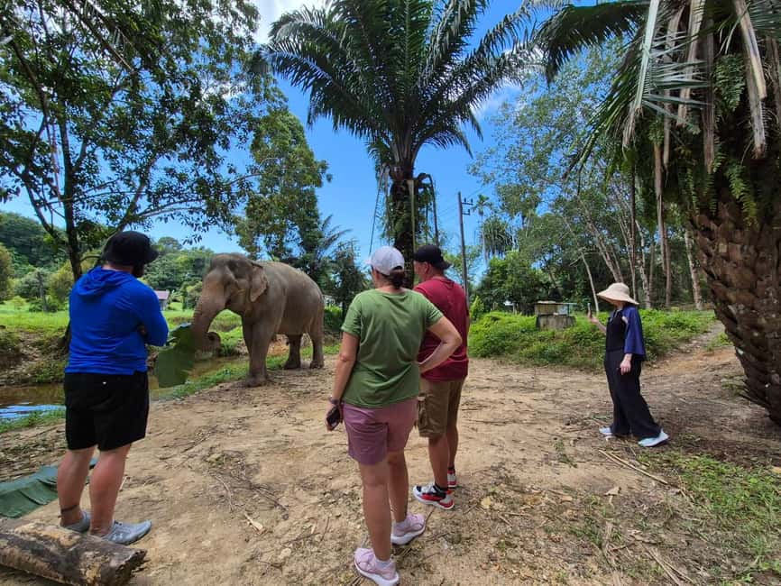 Khao Lak: Waterfall,Sea Turtle,Elephant Care,Meal & Transfer - A quick swim at Sai Rung Waterfall