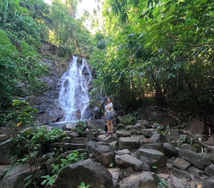Khao Lak: Waterfall,Sea Turtle,Elephant Care,Meal & Transfer - Learning about turtles at the conservation center