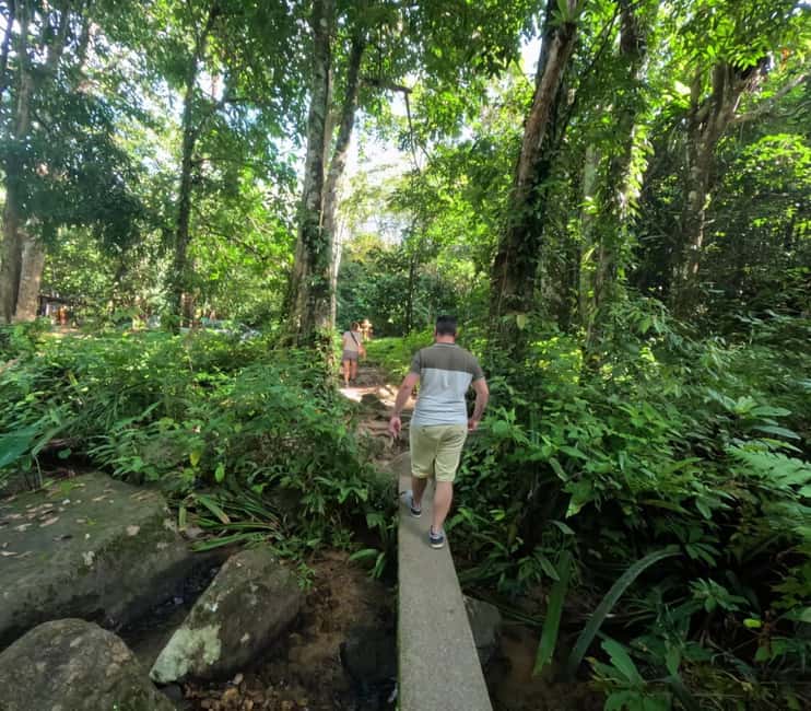 Khao Lak: Waterfall,Sea Turtle,Elephant Care,Meal & Transfer - How much value do you get for $73?