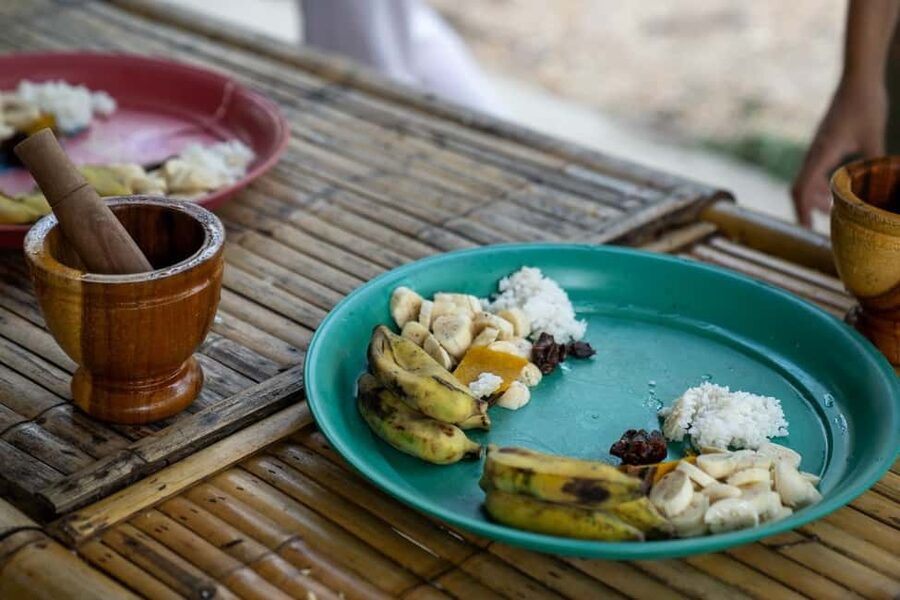 Khao Lak: Waterfall,Sea Turtle,Elephant Care,Meal & Transfer - Who should book this experience?