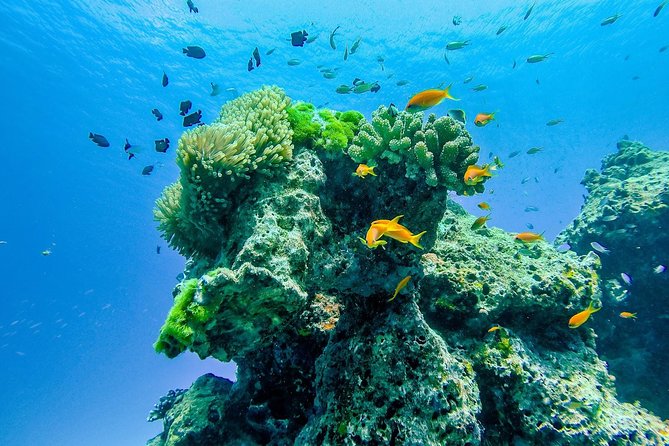 Khao Lak: Wow Andaman Snorkeling Trip to Similan Islands - Koh Bangu, Island No. 9, and Breakfast Bend