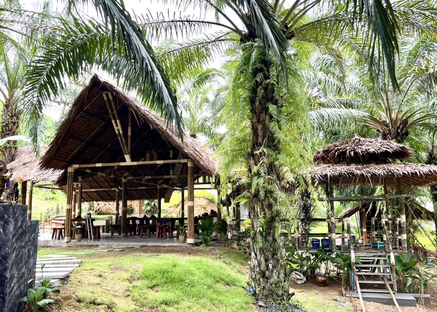 Khao Sok: Ethical Elephant Sanctuary Visit - Who will enjoy this visit most?