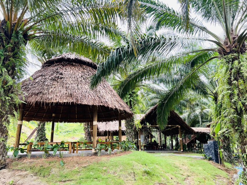 Khao Sok: Ethical Elephant Sanctuary Visit - Starting with orchard food and community support