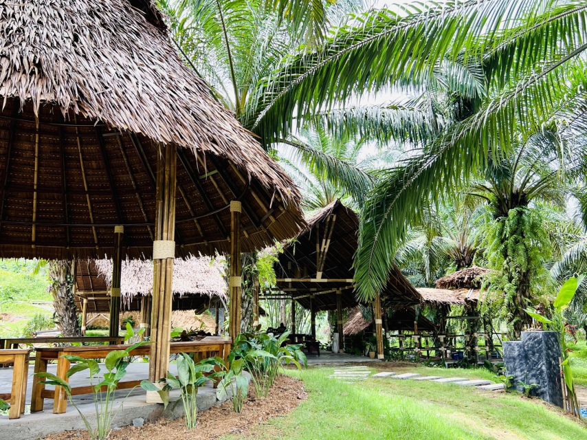Khao Sok: Ethical Elephant Sanctuary Visit - Feeding, walking, and gentle contact