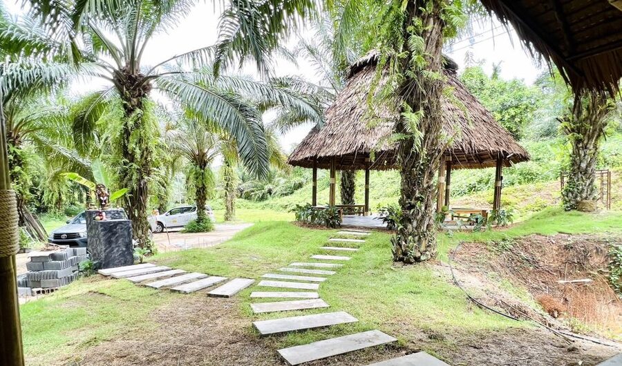 Khao Sok: Ethical Elephant Sanctuary Visit - Why the ethical approach matters