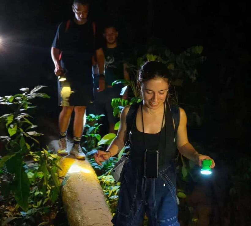 Khao Sok: Private Night Safari Adventure w/ Hotel Transfer - Key points before you book