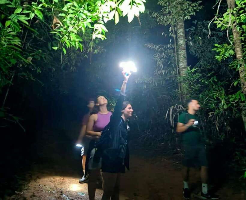 Khao Sok: Private Night Safari Adventure w/ Hotel Transfer - Practical tips for a better outing