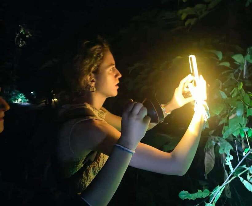 Khao Sok: Private Night Safari Adventure w/ Hotel Transfer - Leaving your hotel for the forest