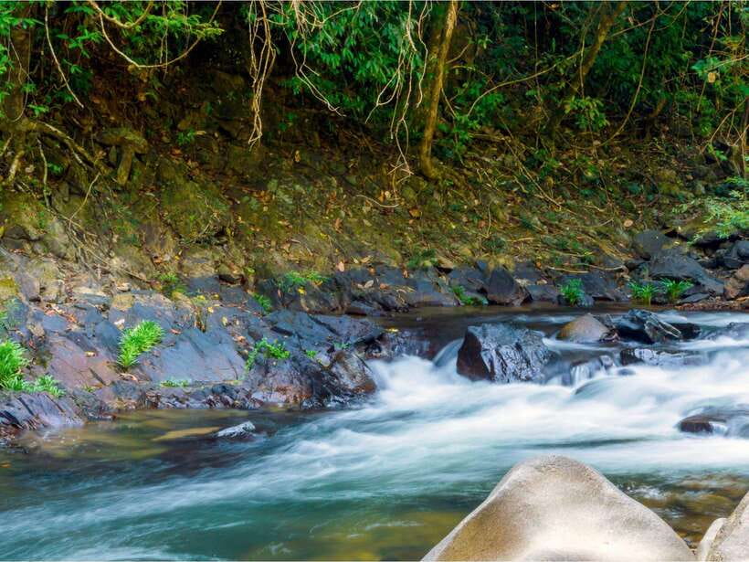 Khao Sok: Private Waterfalls and Wildlife Half-Day Trek - Booking flexibility and practical limits