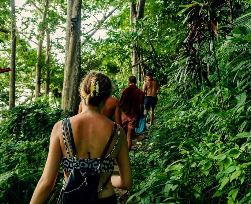 Khao Sok: Private Waterfalls and Wildlife Half-Day Trek - Wildlife spotting with a guide who knows where to look
