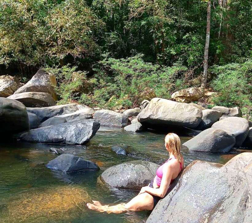 Khao Sok: Private Waterfalls and Wildlife Half-Day Trek - Why the guide matters more than the trail