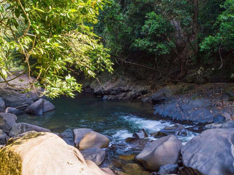 Khao Sok: Private Waterfalls and Wildlife Half-Day Trek - Is $48 good value for four hours?