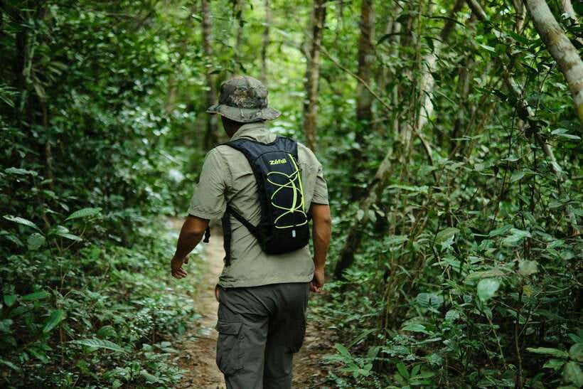 Khao Sok: Private Waterfalls and Wildlife Half-Day Trek - Who should book this Khao Sok trek?
