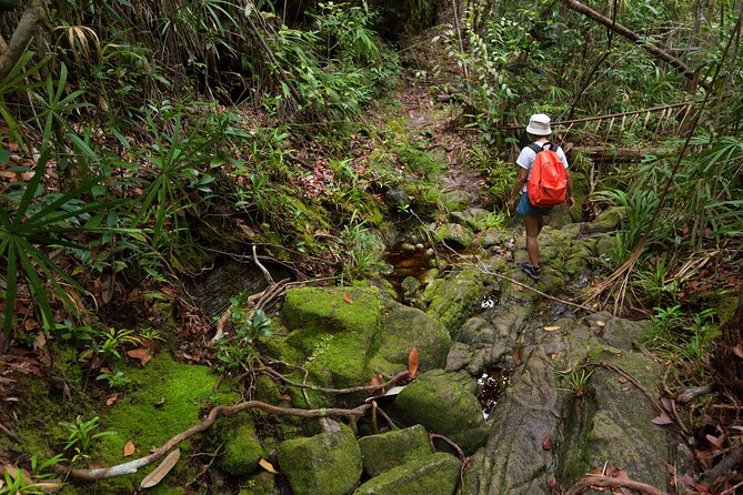 Khao Sok Rainforest | Hiking & Bamboo Rafting - Wildlife Along the Stream