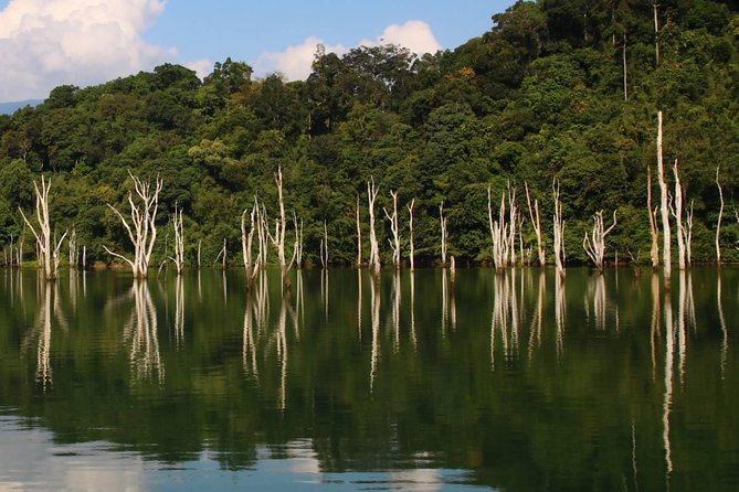 Khao Sok Wildlife 2 Days - Day two begins at 6 a.m.