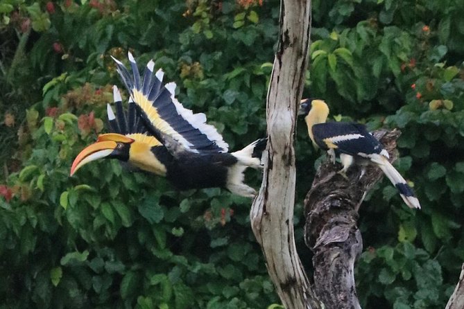 Khao Sok Wildlife 2 Days - Breakfast, lunch, and the journey back