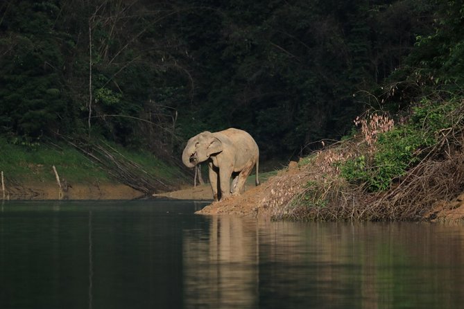 Khao Sok Wildlife 2 Days - The best and hardest parts