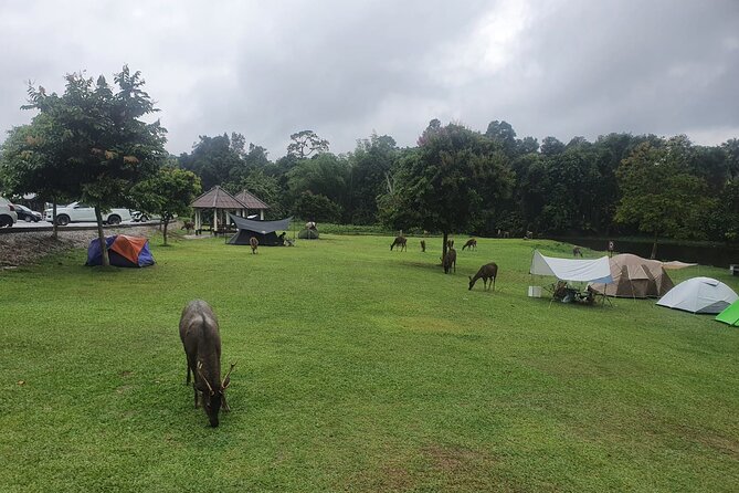 Khao Yai National Park Full Day - Is $69 a fair price?